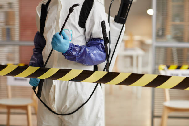 Professional Sewage Cleanup technician working in Ellicott City, MD